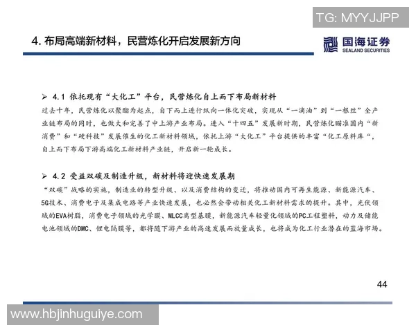 北京羽毛球队技术分析与战术研究的深度探讨与未来发展方向